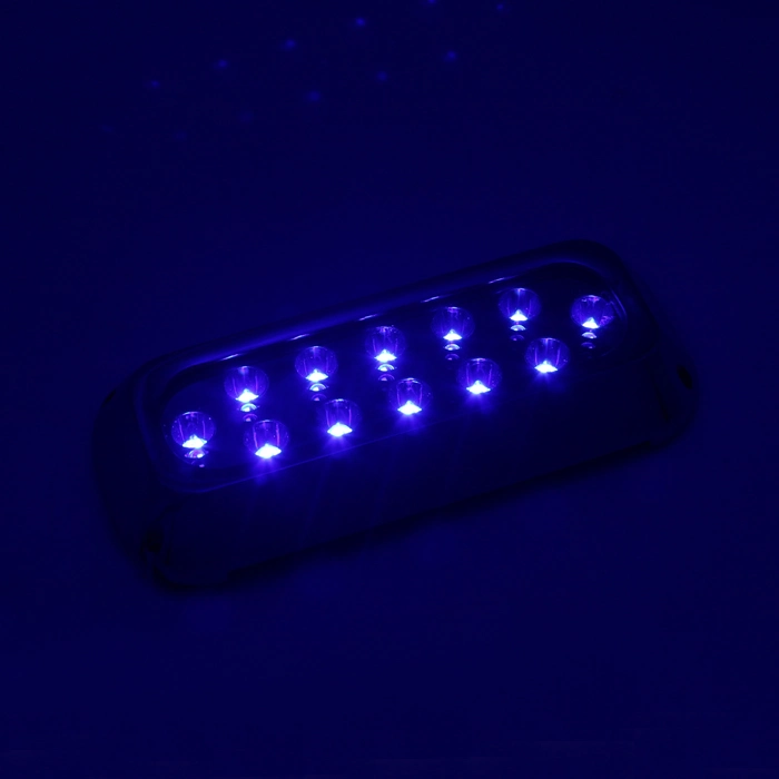 Multicolor IP68 36W 316ss Outdoor LED Underwater Lighting