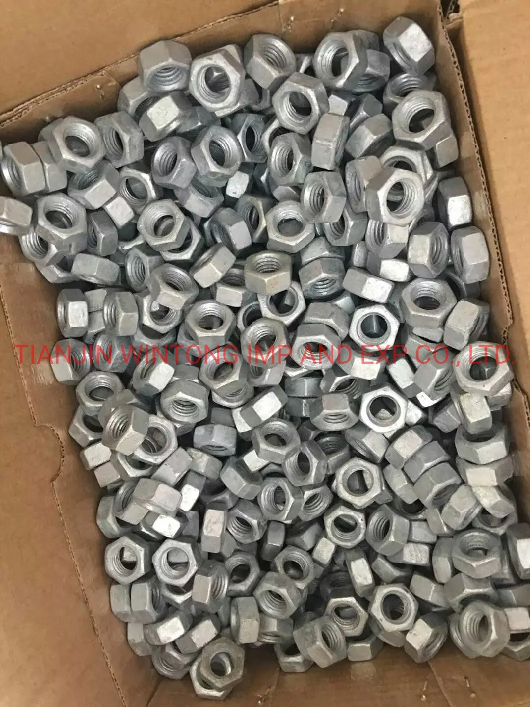 Hot DIP Galvanized Ground Screw Steel Ground screw Pile