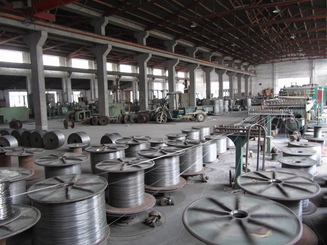 AISI316 Stainless Steel Wire/Marine Grade Wire Rope with Different Diameter