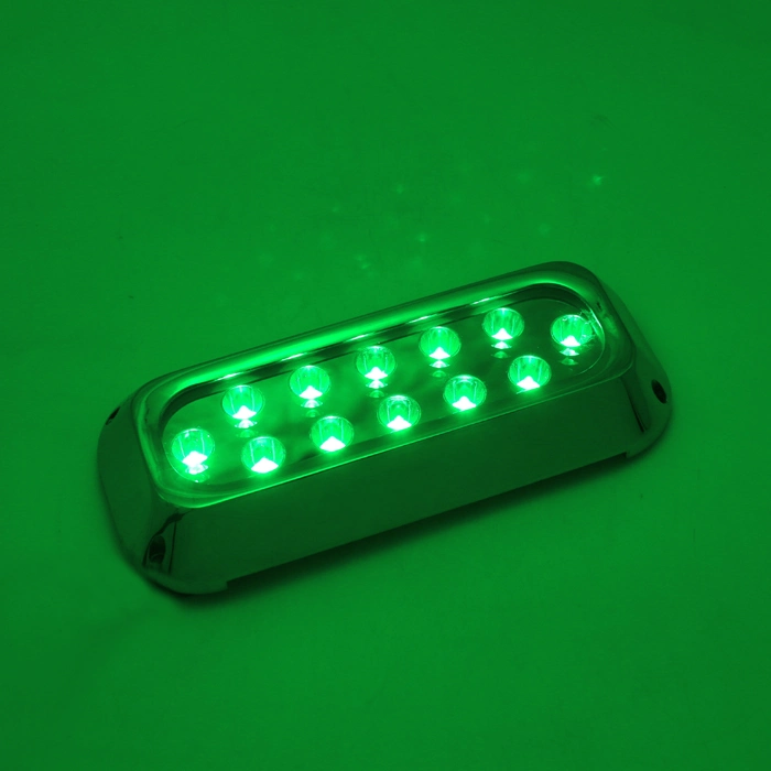 Multicolor IP68 36W 316ss Outdoor LED Underwater Lighting