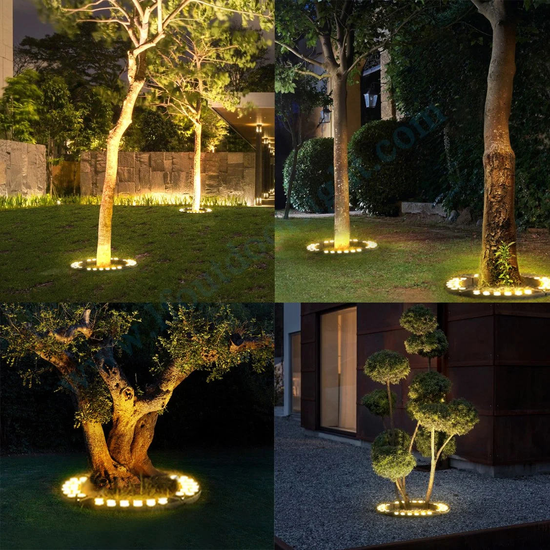 RGB Color Outdoor Landscape Lighting Lighting Tree Pole and Ring Lights
