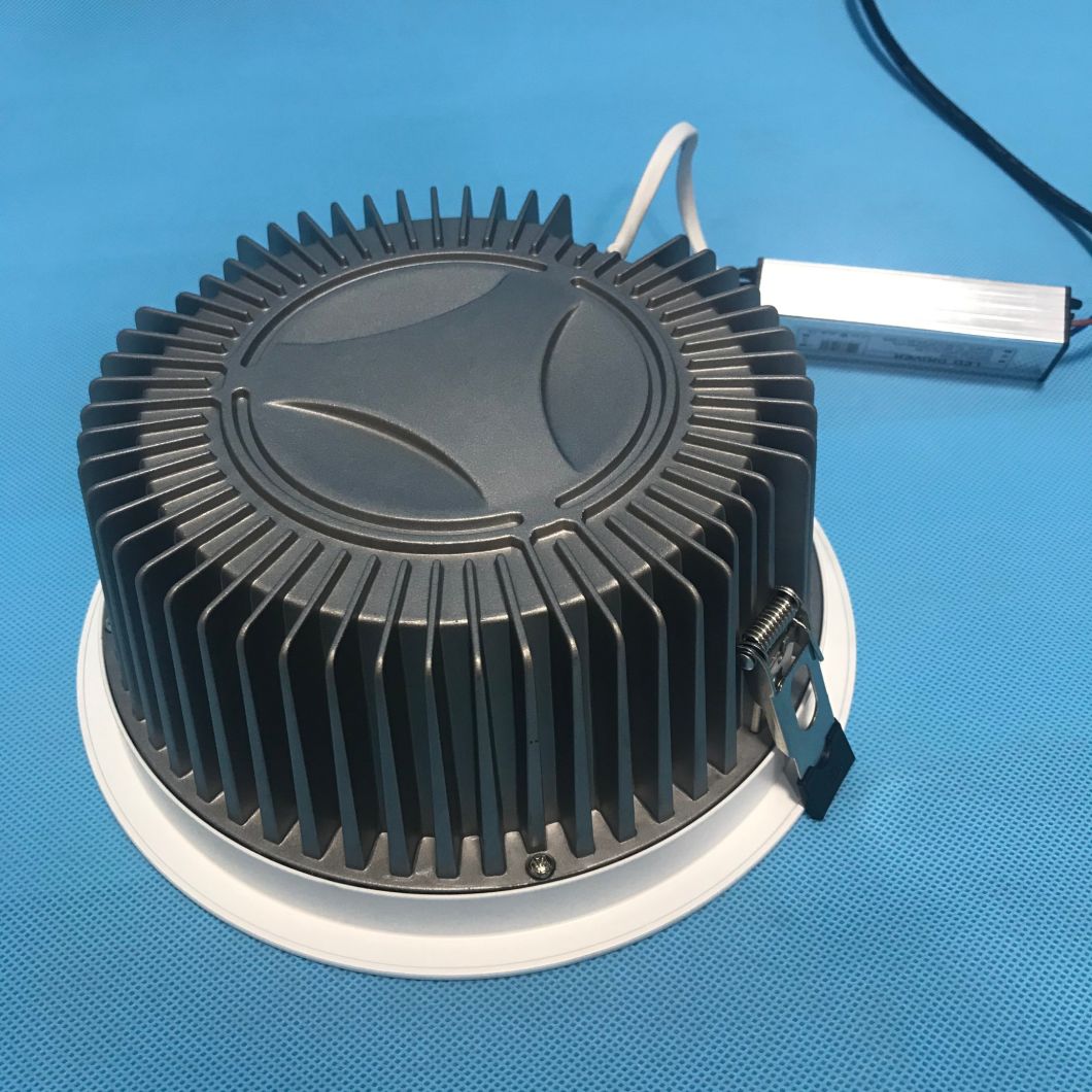 LED Spot Ceiling Light Spot 30W LED Spot Light Down Light