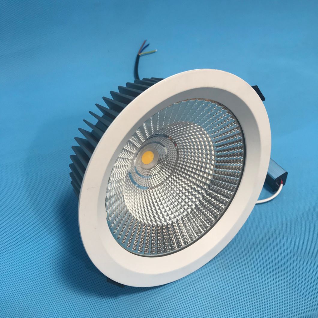LED Spot Ceiling Light Spot 30W LED Spot Light Down Light