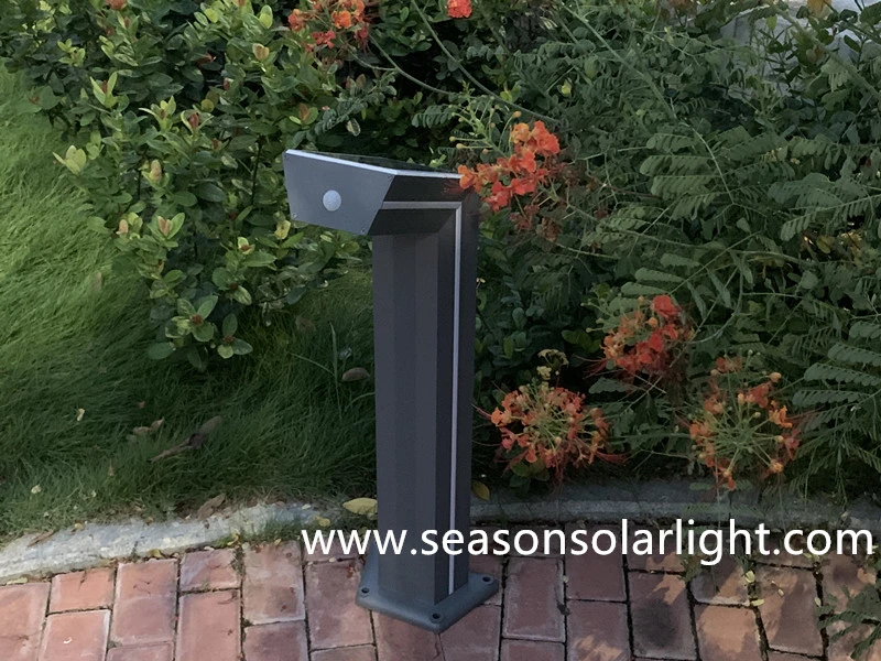 High Power LED Sensor Outdoor Lighting Landscape Solar LED Garden Lighting with Blue LED Strip Lighting