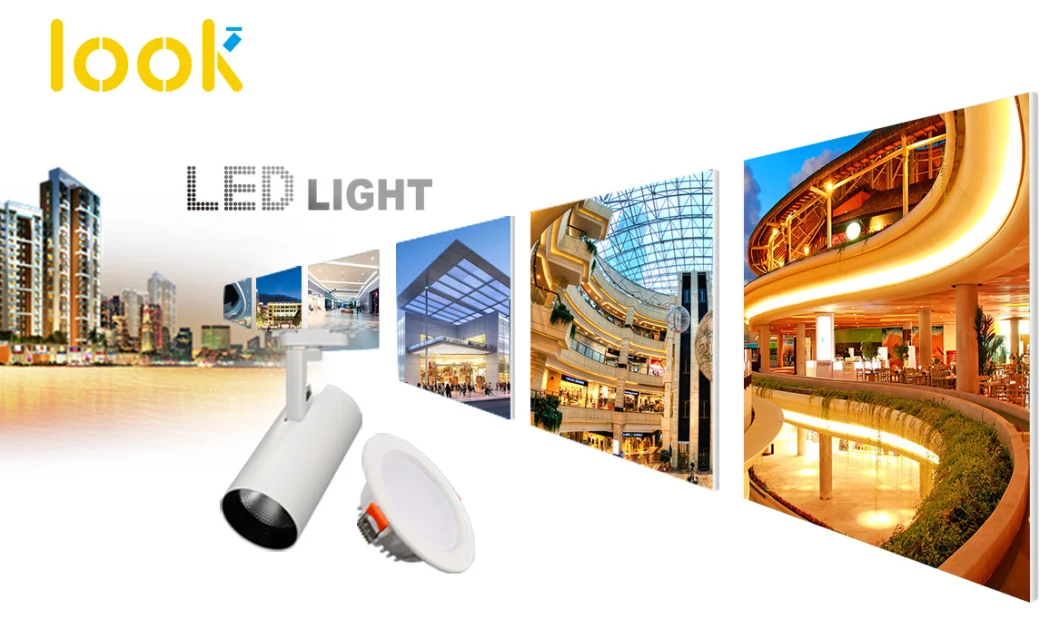 Factory Price LED Light Source Design Lighting Down Light Cover