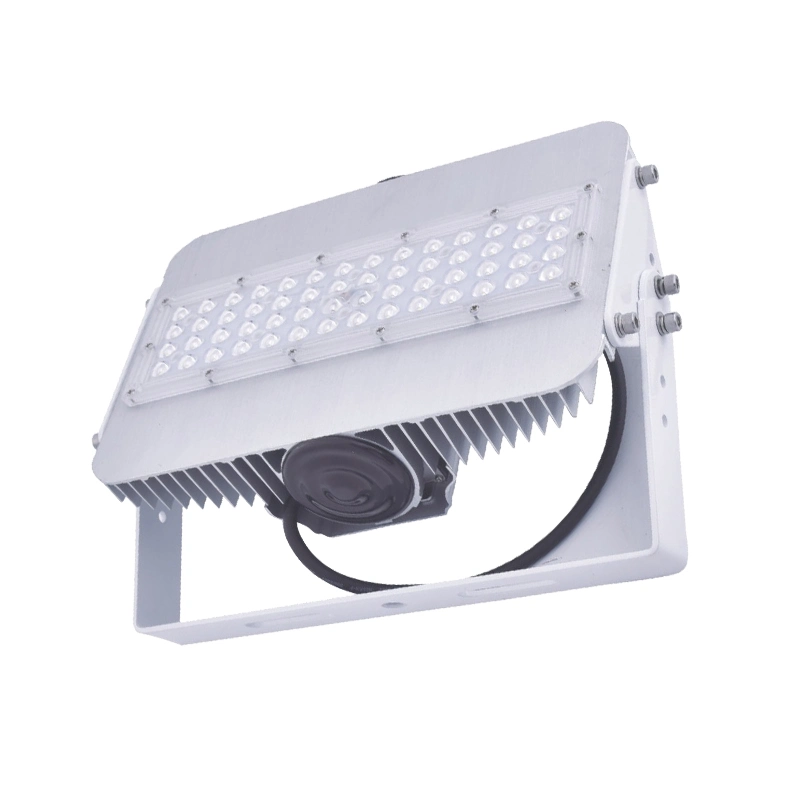 Innovative Design Waterproof IP66 Adjustable Light LED Flood Light with Smart Control System for Exterior Lighting