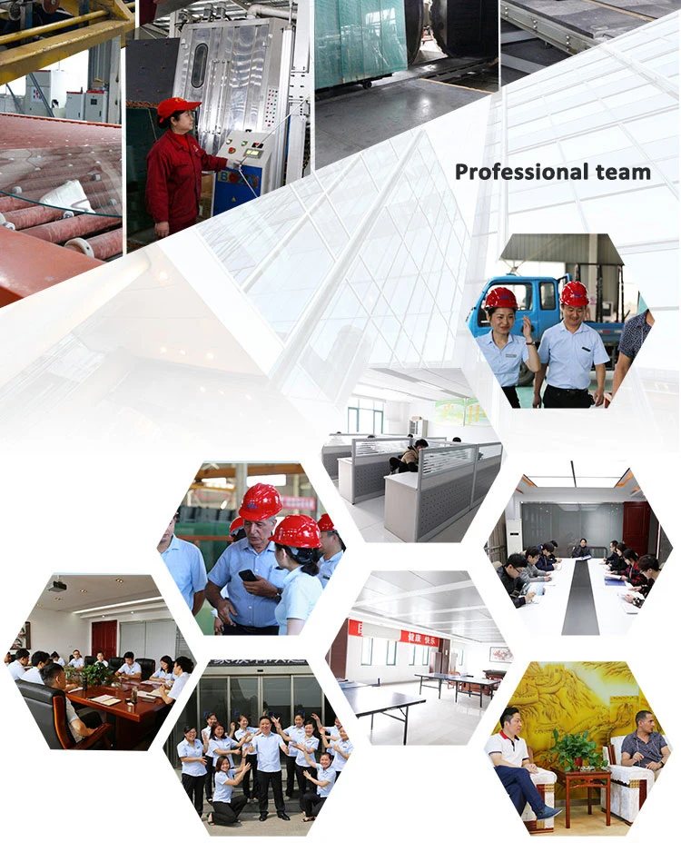 Low E Glazed Insulating Curtain Wall Building Architectural Aquarium Design Custom Decorative Construction Glass