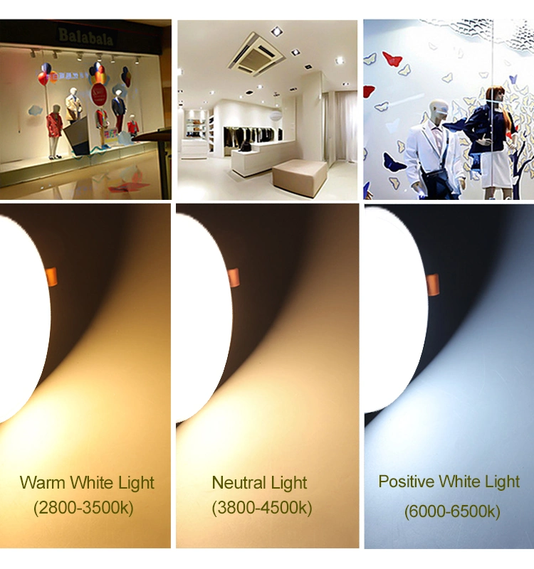 Recessed Panel Lighting 8W/15W/20W/24W Frameless Round LED Home Lighting