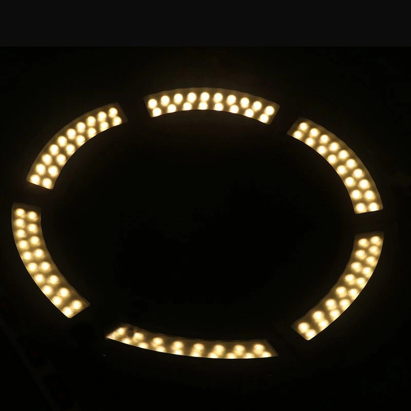 Factory Sale Landscape Outdoor RGB LED Garden Hug Tree Lights for Palm Tree Lighting Contractors, Entrepreneurs