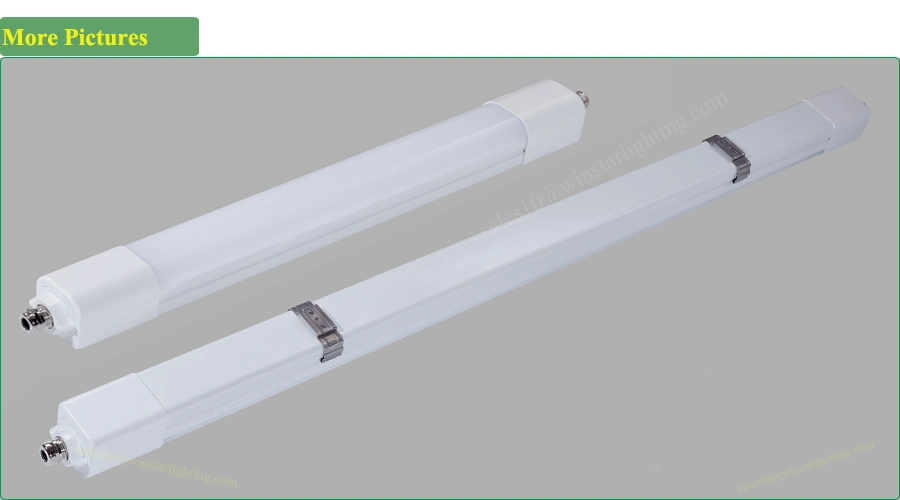 Distributor Supplier IP65 LED Linear Lighting Fixture, LED Tri Proof Light, LED Circular Tube
