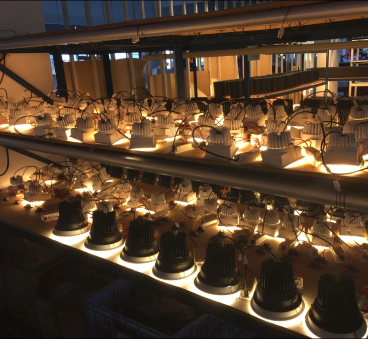 Commercial Lighting LED Ceiling Lighting LED Interior Light with 5 Years Warranty