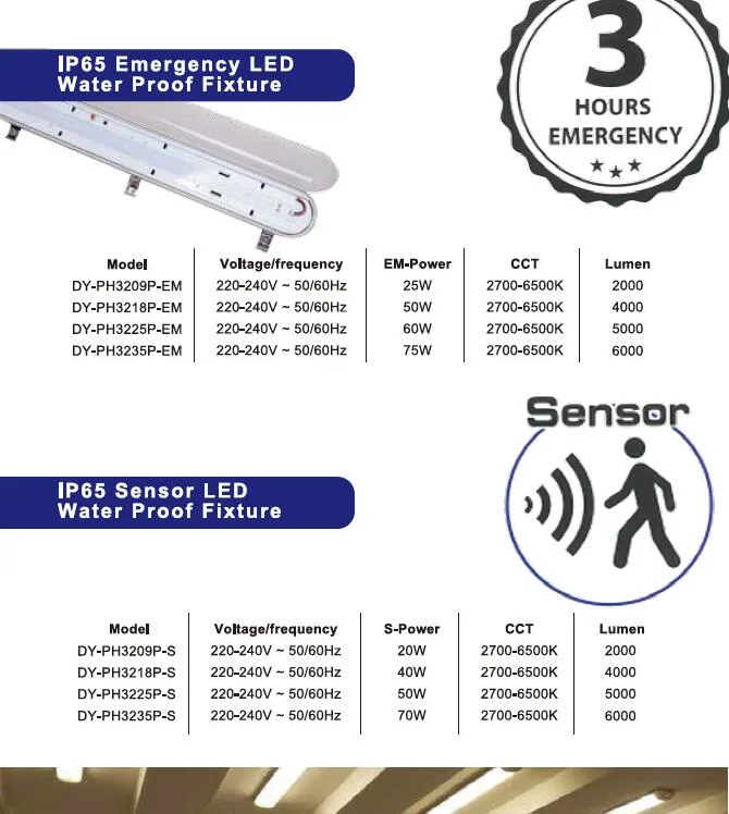 LED Tri-Proof Lighting Fixtures Waterproof Outdoor Light Packing Lot Supermarket Warehouse LED Lighting Tunnel Light