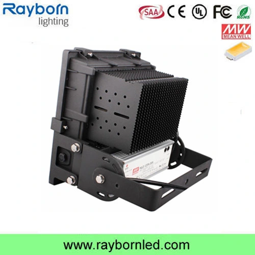 IP65 100W LED Outdoor Spotlight Floodlight Reflector Stadium Lighting with COB Bridgelux Chip