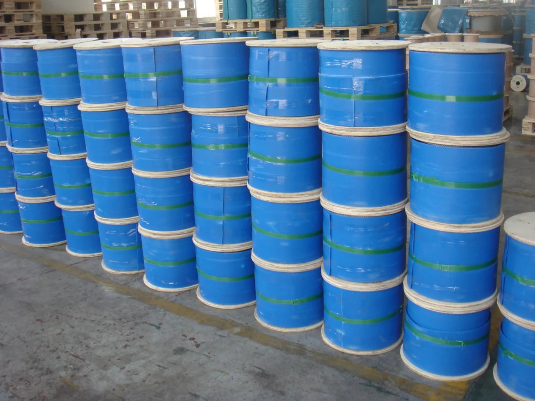 AISI316 Stainless Steel Wire/Marine Grade Wire Rope with Different Diameter