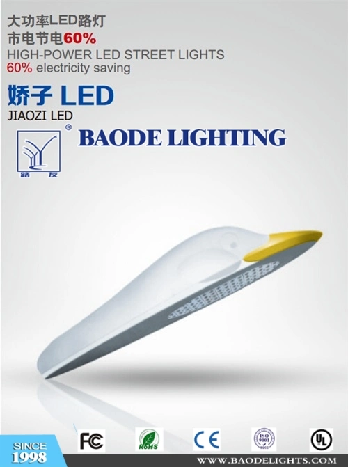 Outdoor LED Light (BDLED07)