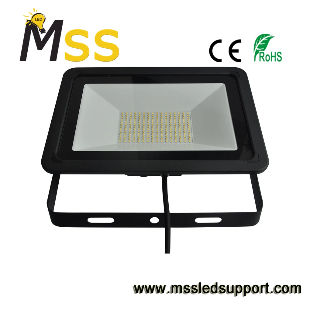 50W/100W Architectural Lighting Fixtures High Pole Lighting