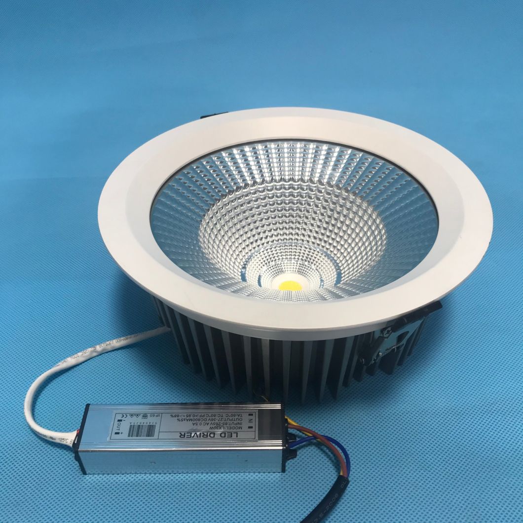 LED Spot Ceiling Light Spot 30W LED Spot Light Down Light