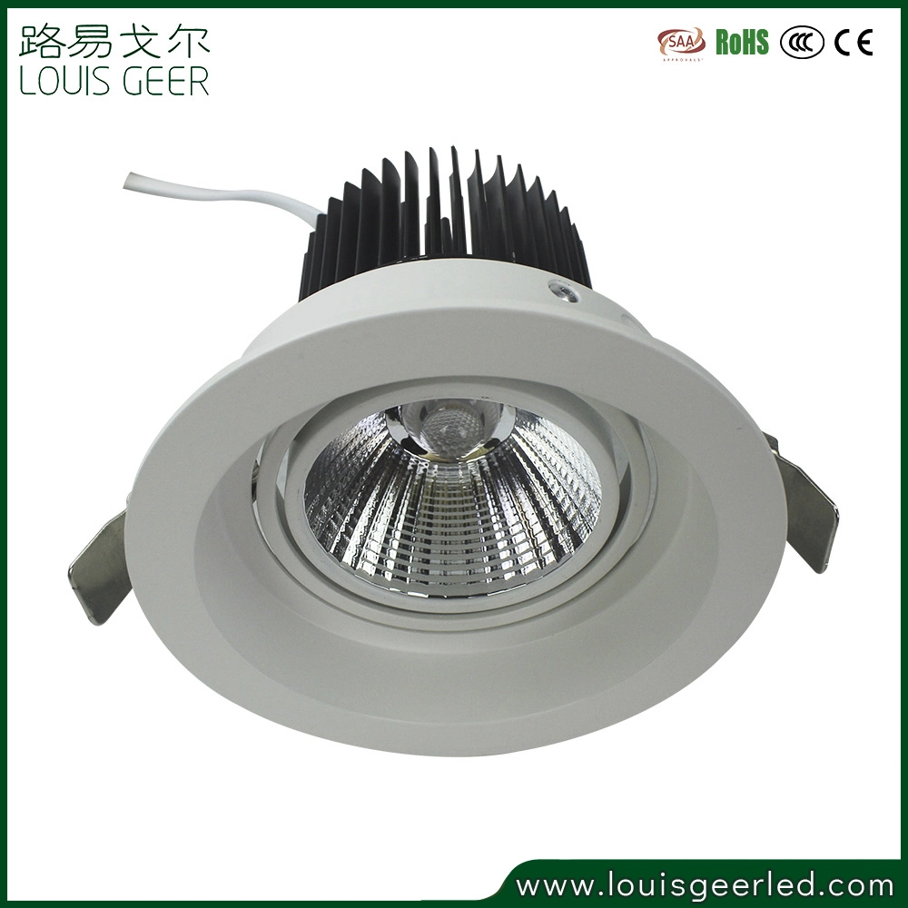 Recessed Indoor Lighting Anti-Glare Rotatable Residential 20W 2-Way LED Downlight for Commercial Lighting Mall