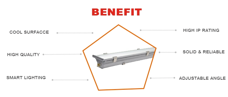 2X58W Aluminum LED Linear Lighting Vapor Tight Fixture