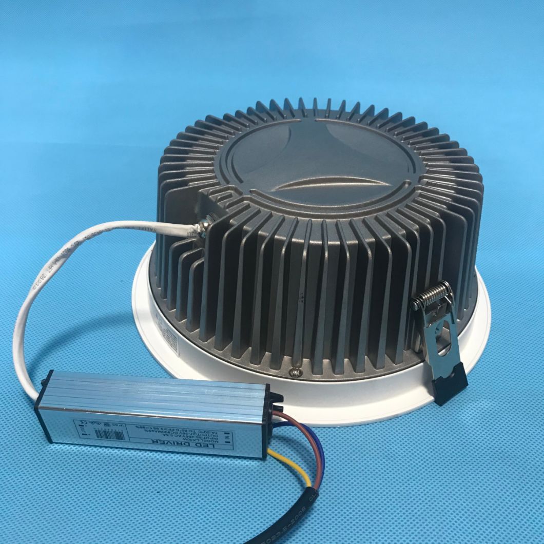 LED Spot Ceiling Light Spot 30W LED Spot Light Down Light