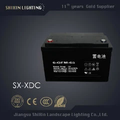 High Lumen IP65 Waterproof Solar Outdoor LED Lamp (SX-TYN-LD-62)