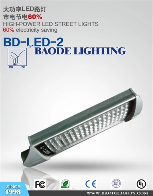 Outdoor LED light (BDLED10)