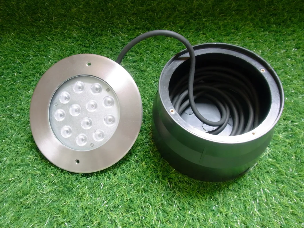 12V IP68 12W 24W 36W Swimming Pool Fountain Pond LED Lights Underwater Pool Light