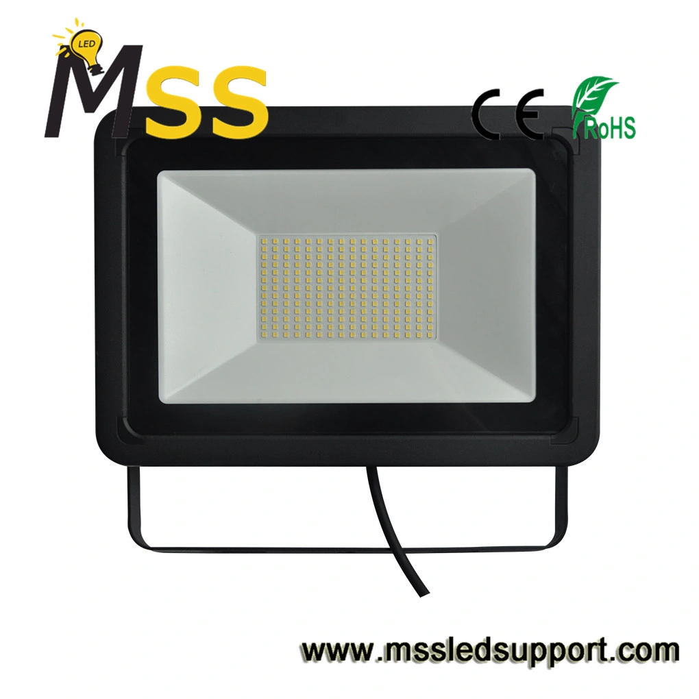 50W/100W Architectural Lighting Fixtures High Pole Lighting