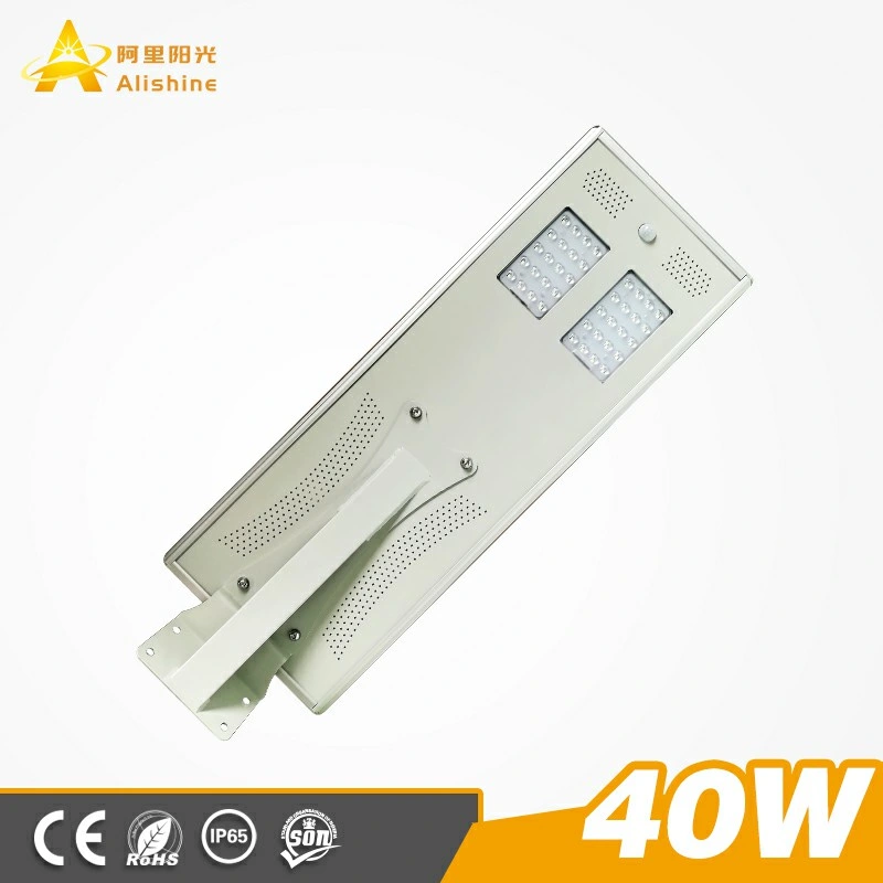 40W Hot Selling Mode High Brightness Outdoor LED Light All-in-One Light