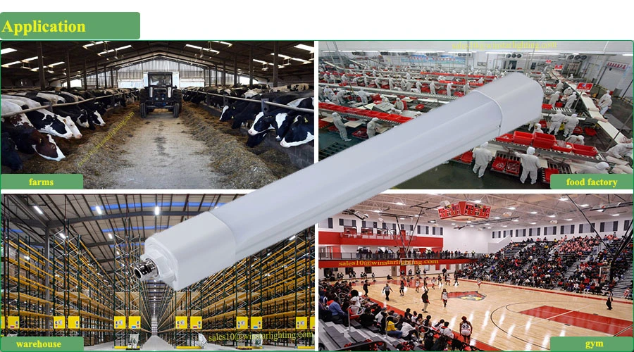 Distributor Supplier IP65 LED Linear Lighting Fixture, Ledtri Proof Light, LED Light