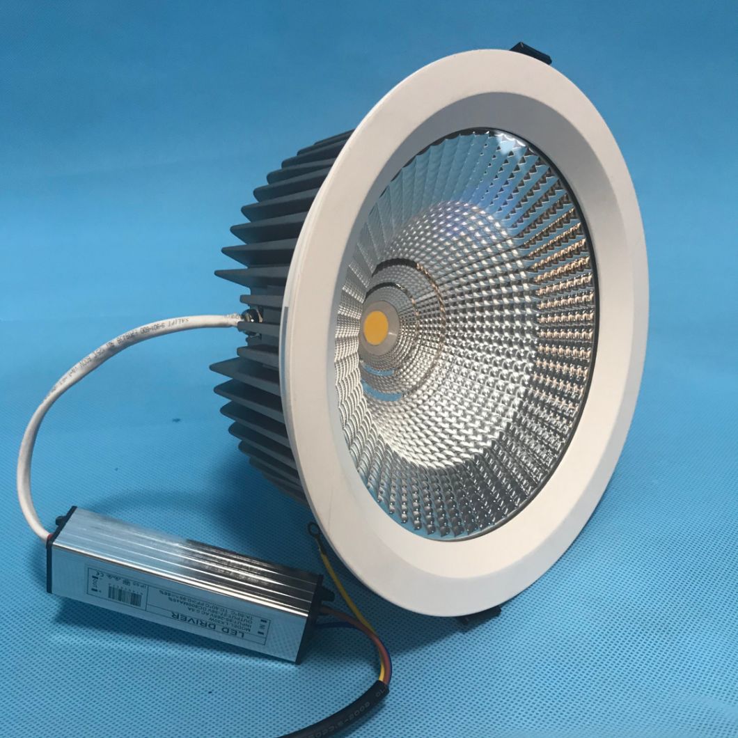 LED Spot Ceiling Light Spot 30W LED Spot Light Down Light