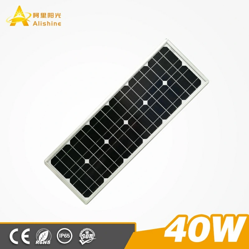 40W Hot Selling Mode High Brightness Outdoor LED Light All-in-One Light