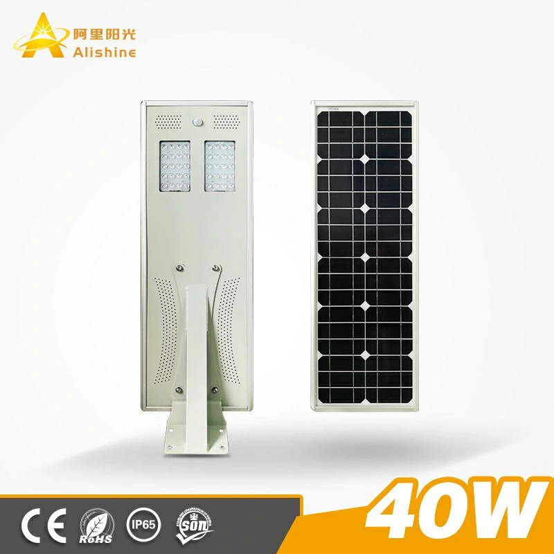 40W Hot Selling Mode High Brightness Outdoor LED Light All-in-One Light