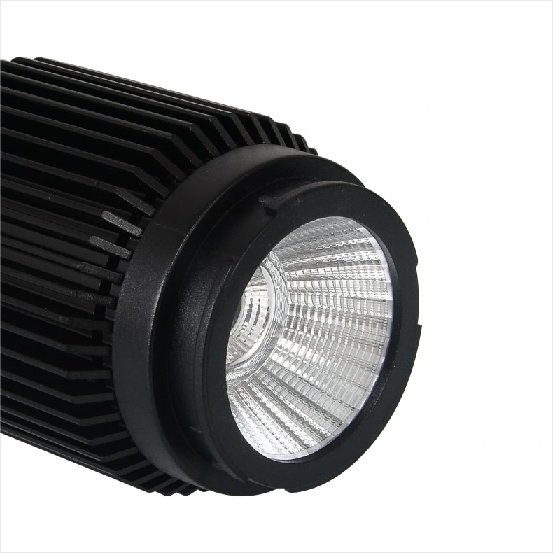 COB Downlight Commercial Lighting LED Ceiling Light 6W/ 8W/10W/12W/15W/20W/25W