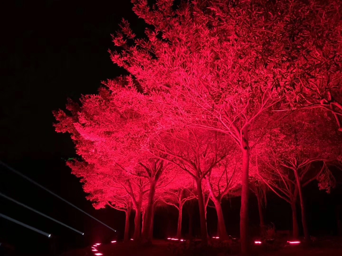 96X10W LED Spotlight Roof Lighting Landscape Lighting