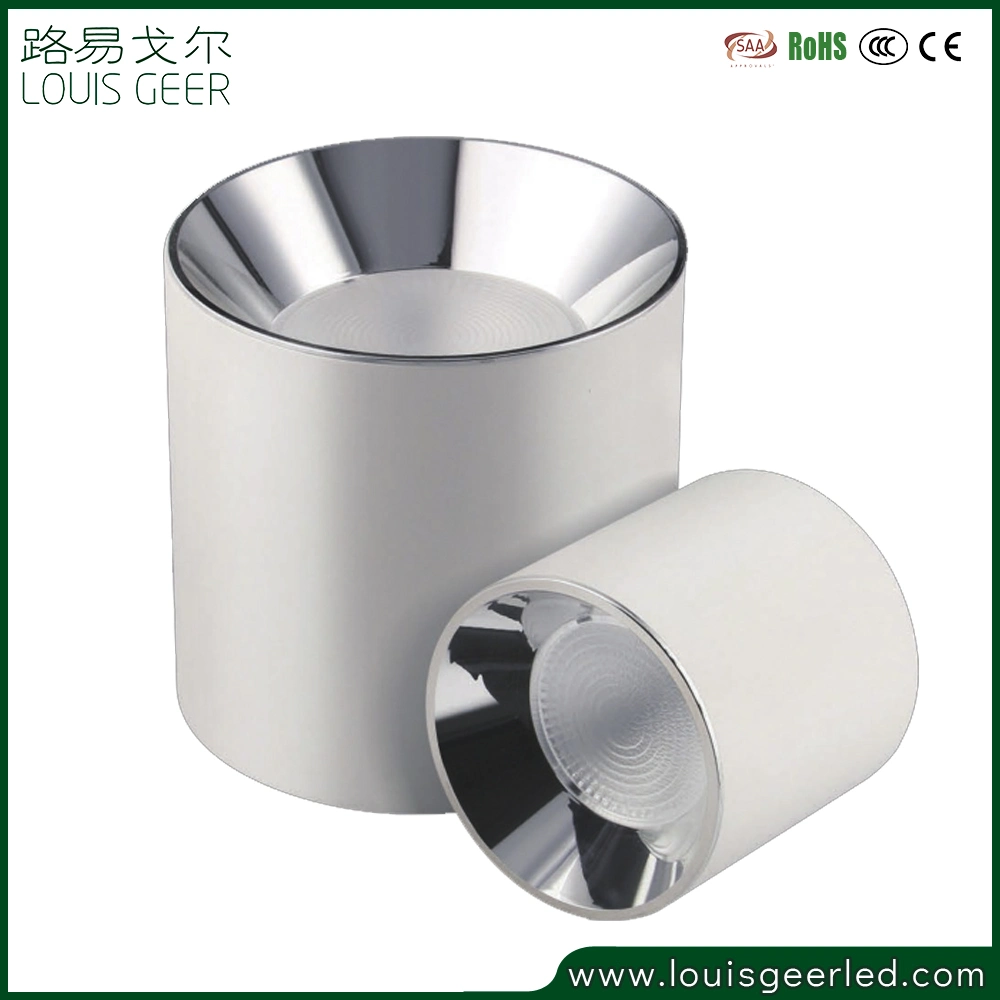 Modern Design LED Lighting Commercial Lighting Fixture 40W Adjustable LED Kitchen Downlight
