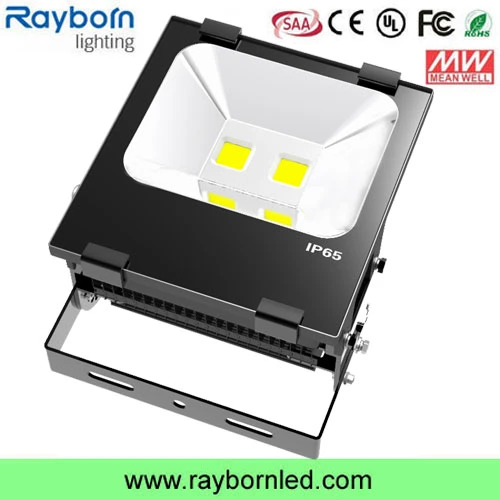 IP65 100W LED Outdoor Spotlight Floodlight Reflector Stadium Lighting with COB Bridgelux Chip