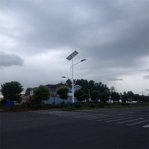 Outdoor Lights 6m 30W Low Price Battery Backup LED Street Solar Lights