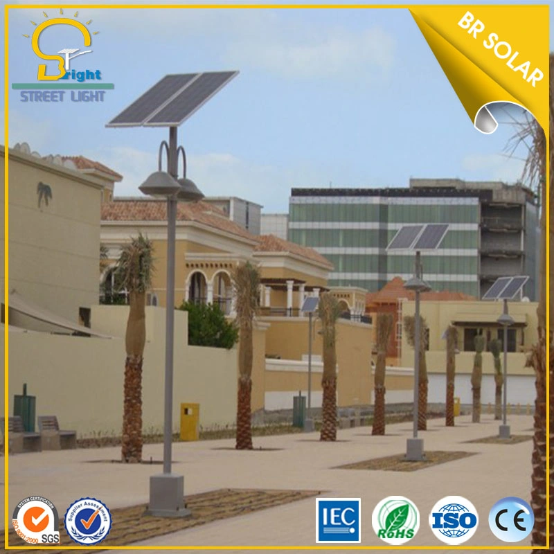 9W, 3m Pole Solar Landscape Light (SLL-S1)