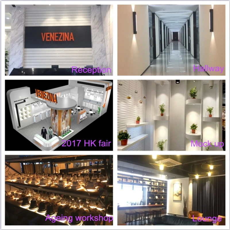 Commercial Lighting LED Ceiling Lighting LED Interior Light with 5 Years Warranty