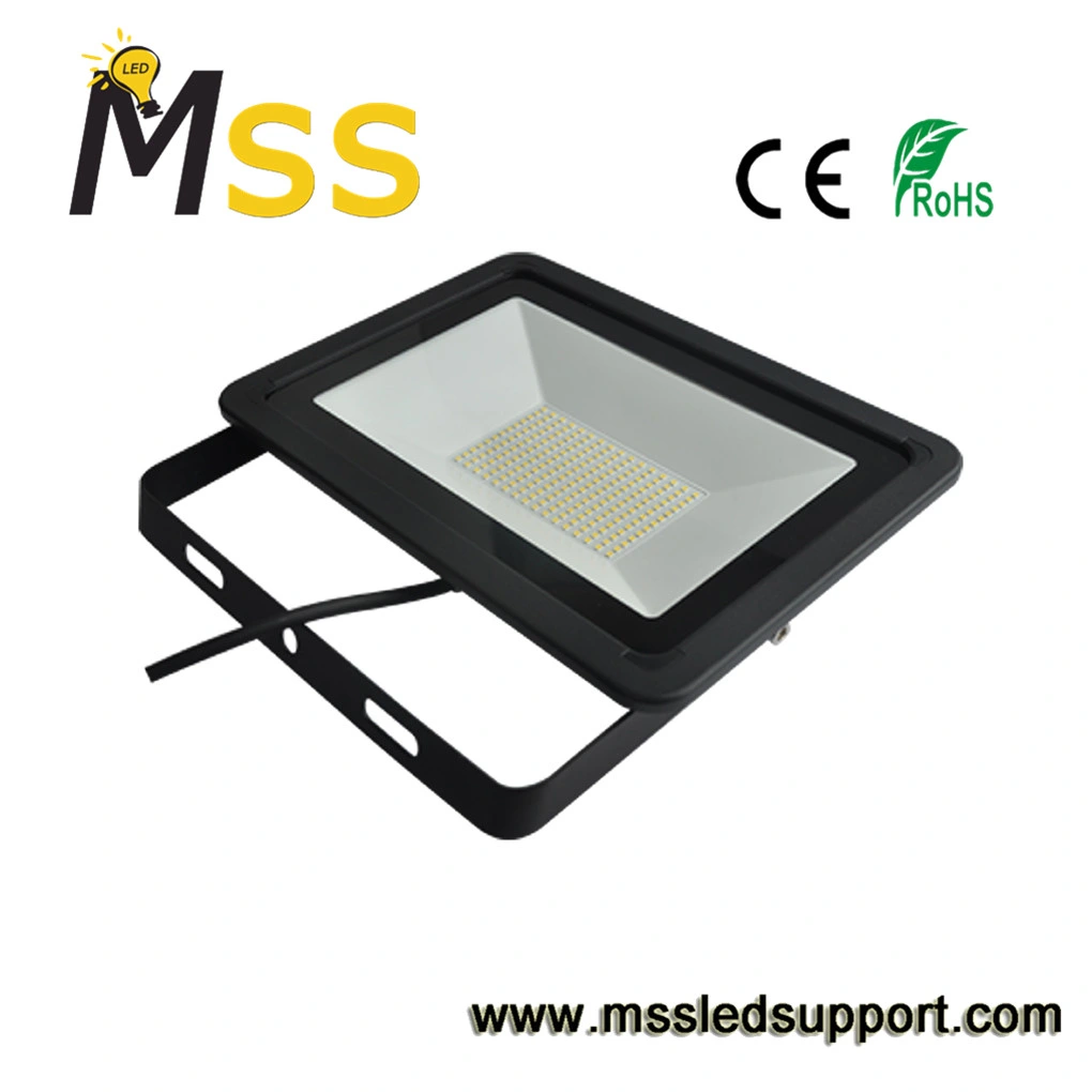 50W/100W Architectural Lighting Fixtures High Pole Lighting
