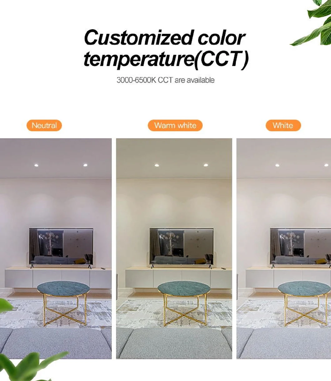 High Quality Project Lighting 20W COB LED Downlight Commercial Lighting