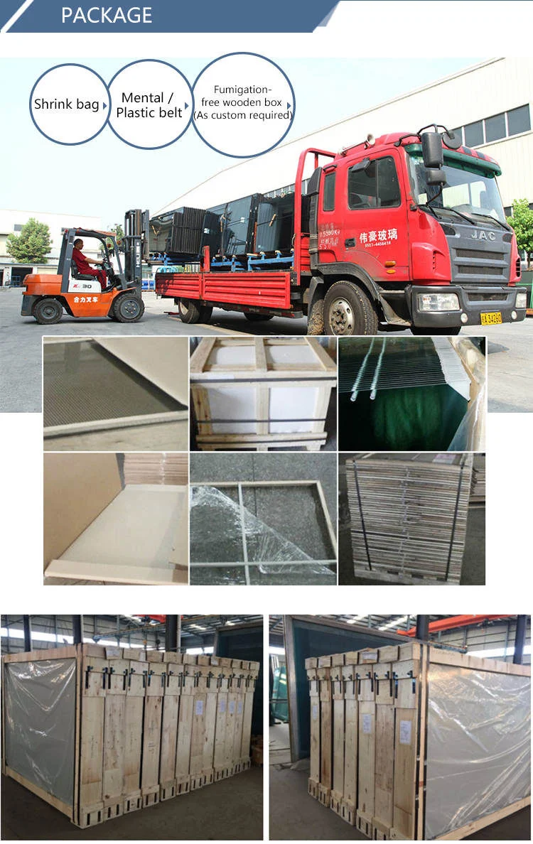 Low E Glazed Insulating Curtain Wall Building Architectural Aquarium Design Custom Decorative Construction Glass