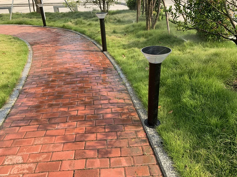 Outdoor Lighting 5W LED Garden Light with Solar Lighting System