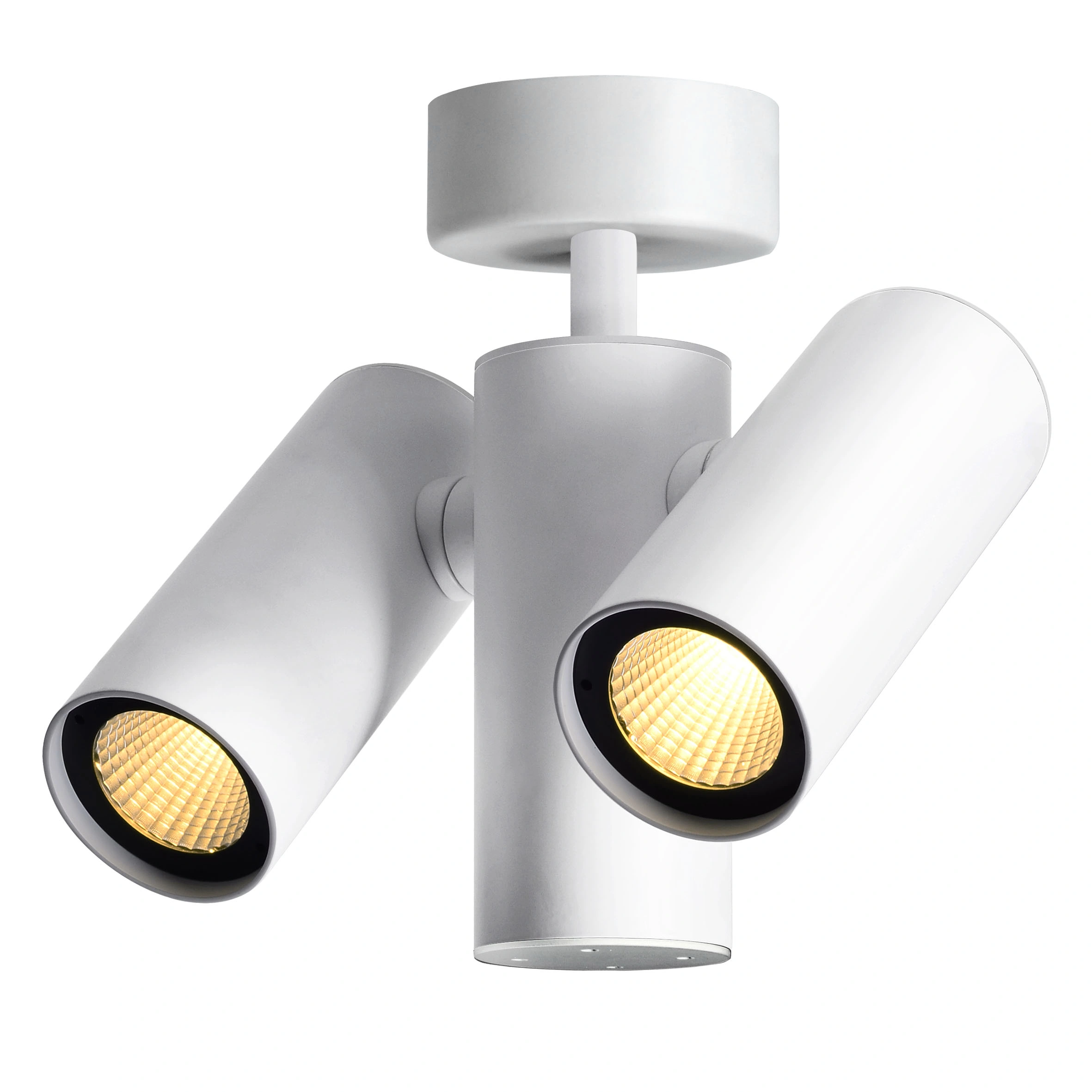 2*12W CREE COB LED Track Lighting Commercial Studio Lighting Spotlight