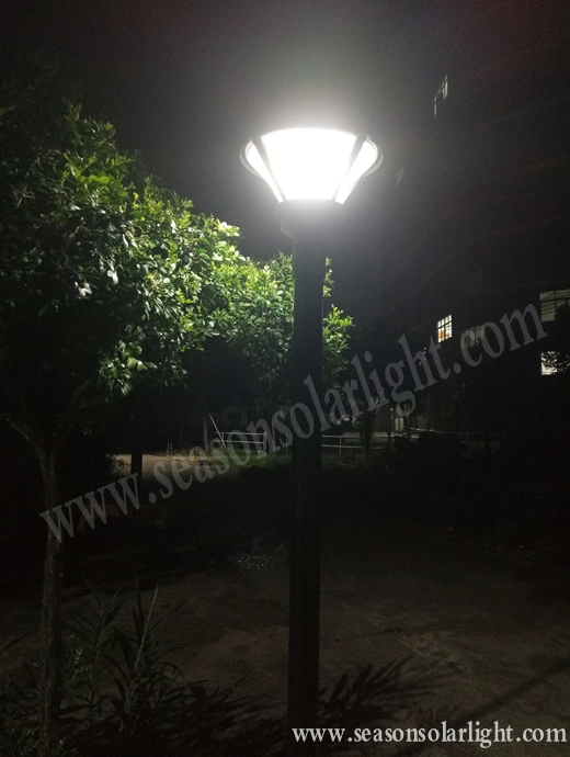High Power LED Decoration Lighting Solar Product LED Oudoor Solar Landscape Lighting with Solar Panel