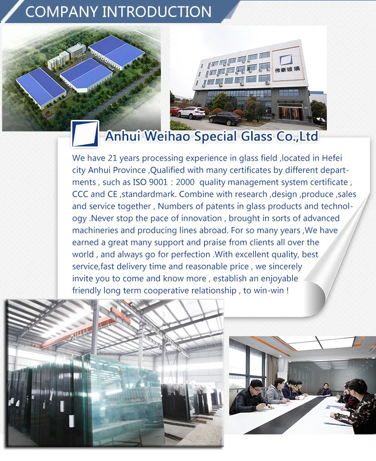 Low E Glazed Insulating Curtain Wall Building Architectural Aquarium Design Custom Decorative Construction Glass