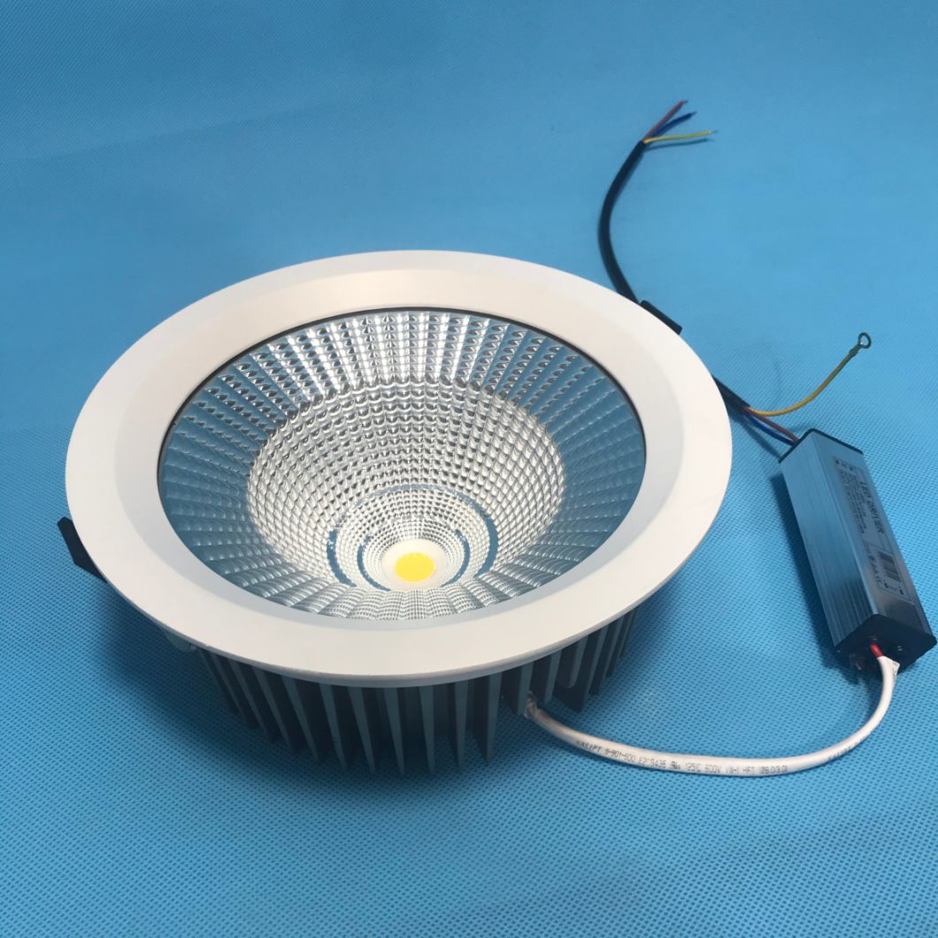 LED Spot Ceiling Light Spot 30W LED Spot Light Down Light