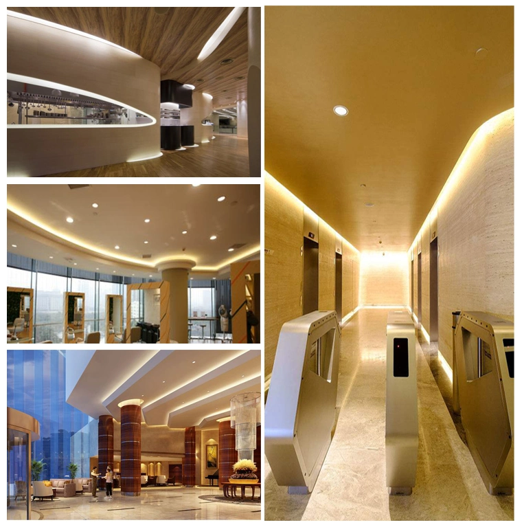 Dual PCB 4014 Flexible Tape for Architectural Decorative Lighting