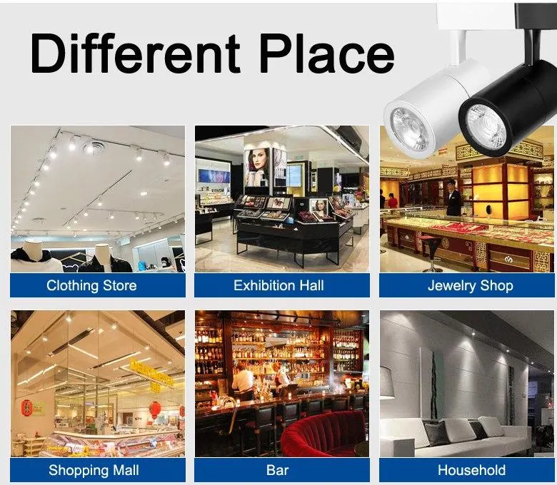 2*12W CREE COB LED Track Lighting Commercial Studio Lighting Spotlight